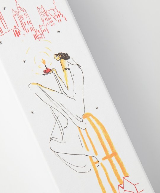 joost arijs; chocolats; sabien clement; illustration; packagedesign; macarons